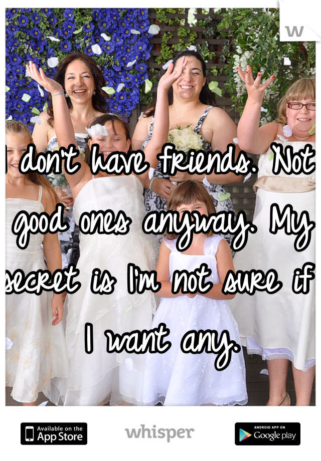 I don't have friends. Not good ones anyway. My secret is I'm not sure if I want any. 