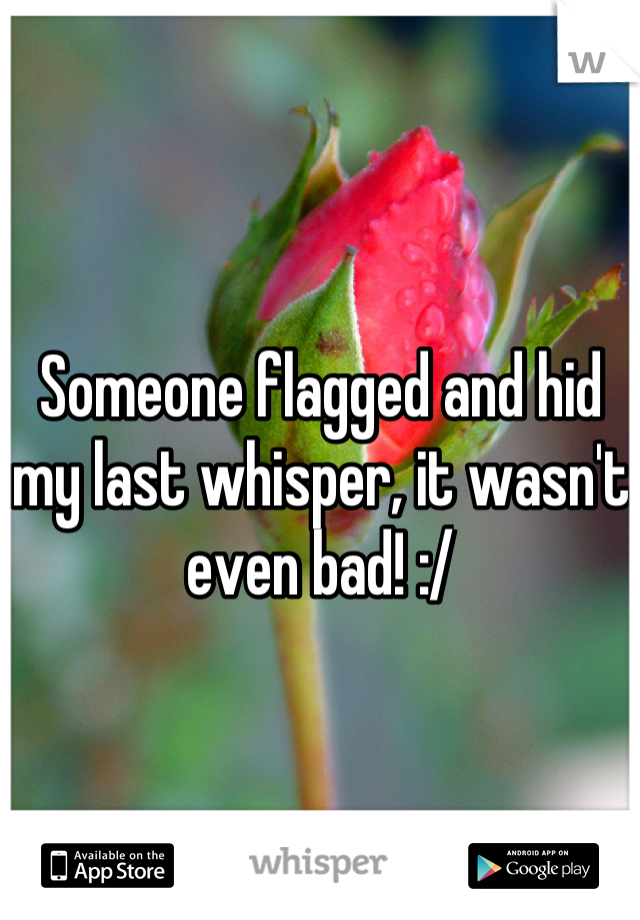 Someone flagged and hid my last whisper, it wasn't even bad! :/