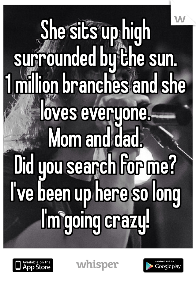 She sits up high surrounded by the sun. 
1 million branches and she loves everyone. 
Mom and dad. 
Did you search for me? 
I've been up here so long I'm going crazy! 
