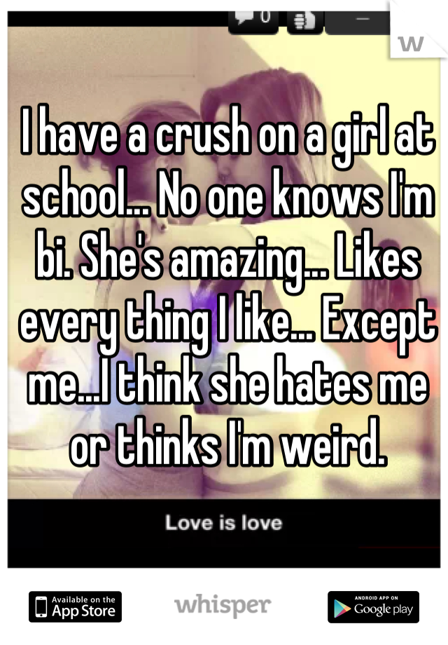I have a crush on a girl at school... No one knows I'm bi. She's amazing... Likes every thing I like... Except me...I think she hates me or thinks I'm weird.