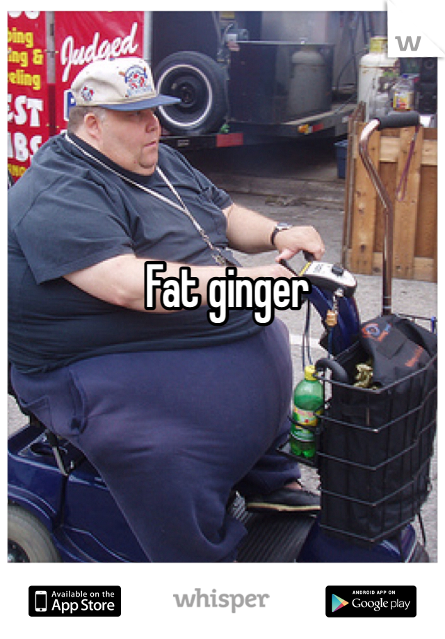 Fat ginger 