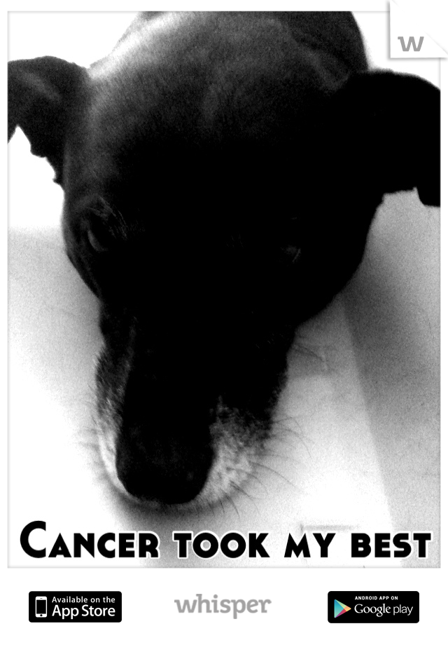 Cancer took my best friend. 