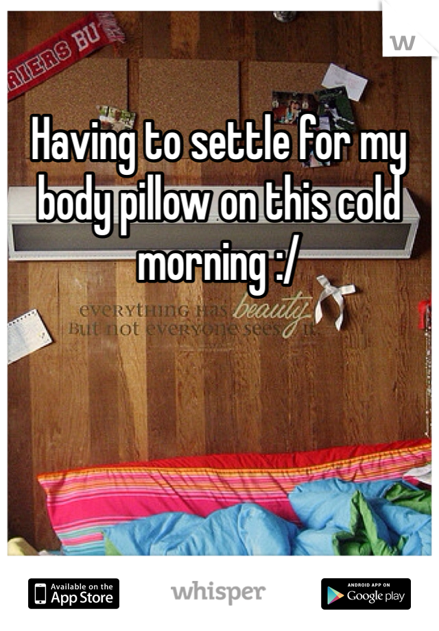 Having to settle for my body pillow on this cold morning :/