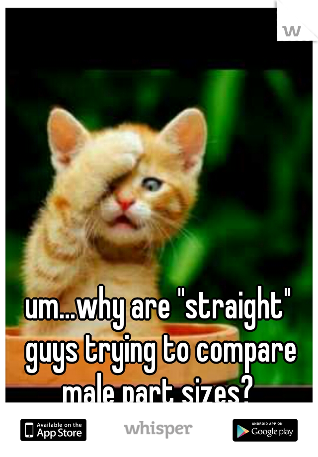 um...why are "straight" guys trying to compare male part sizes? 