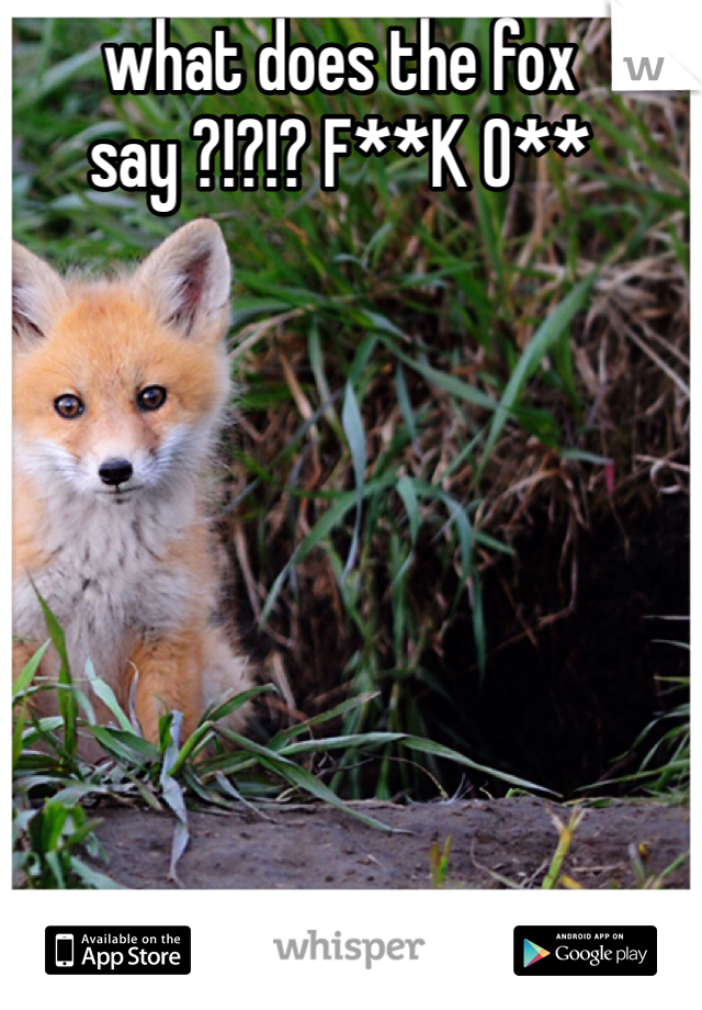 what does the fox say ?!?!? F**K O**