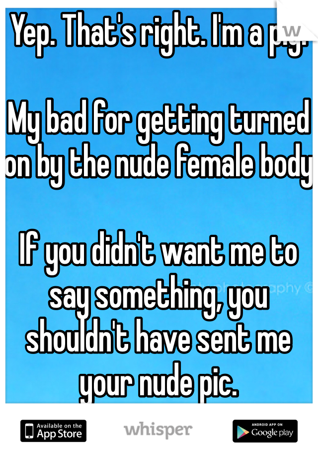 Yep. That's right. I'm a pig. 

My bad for getting turned on by the nude female body

If you didn't want me to say something, you shouldn't have sent me your nude pic. 