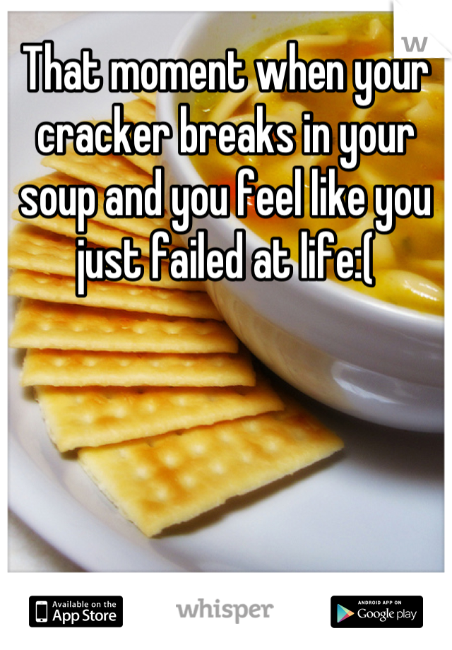 That moment when your cracker breaks in your soup and you feel like you just failed at life:(