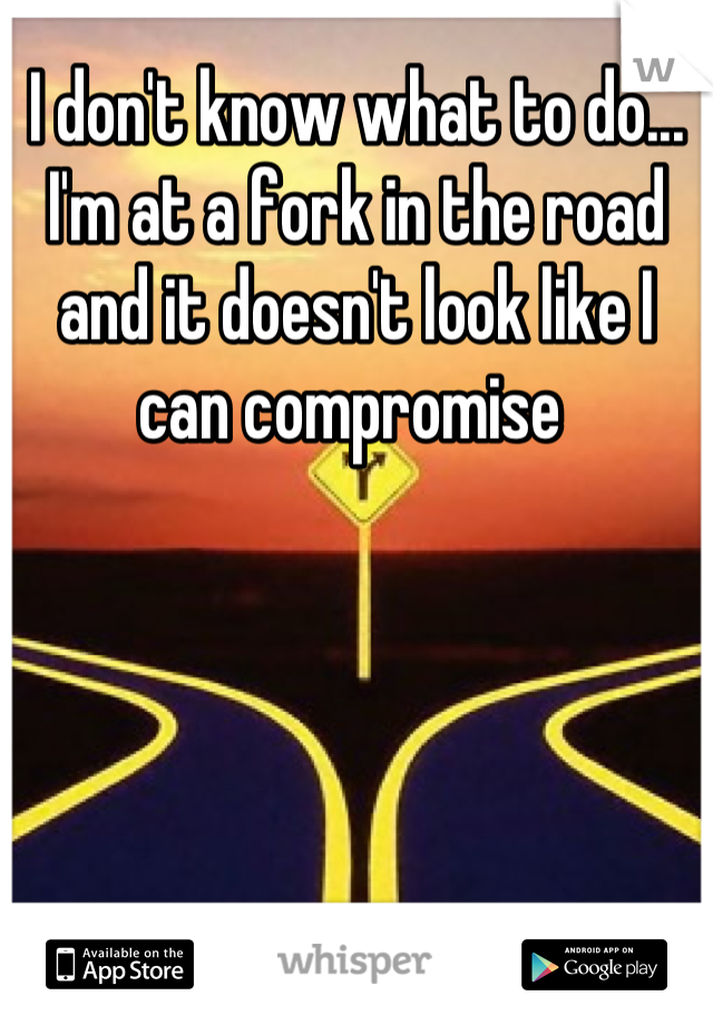 I don't know what to do... I'm at a fork in the road and it doesn't look like I can compromise 