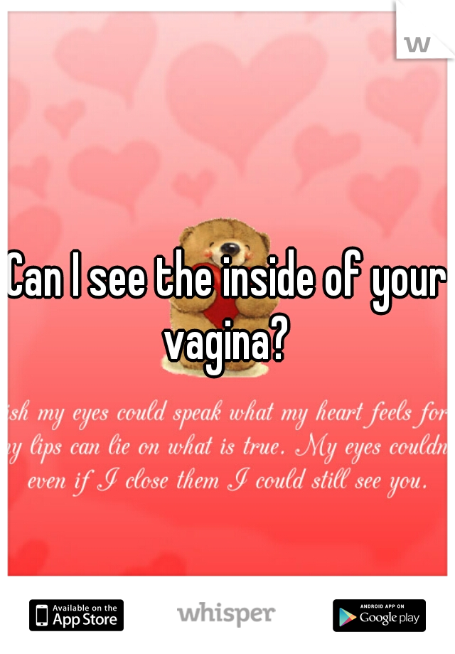 Can I see the inside of your vagina? 