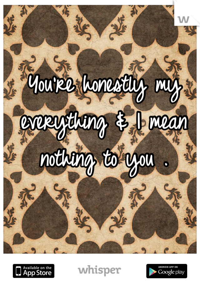 You're honestly my everything & I mean nothing to you . 
