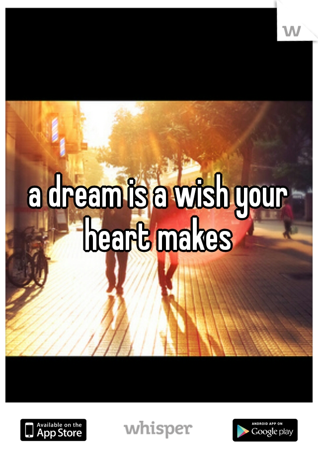 a dream is a wish your heart makes 