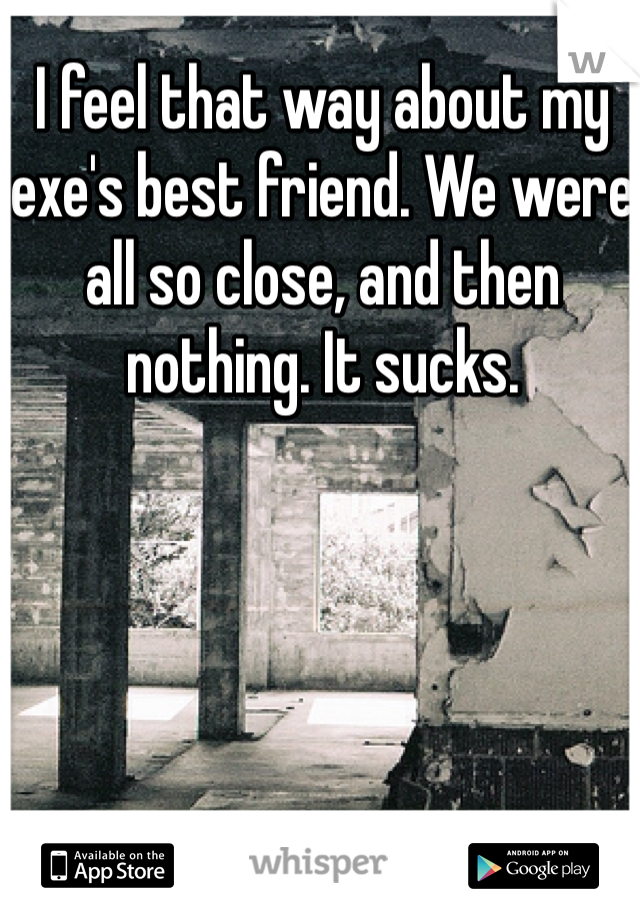I feel that way about my exe's best friend. We were all so close, and then nothing. It sucks. 