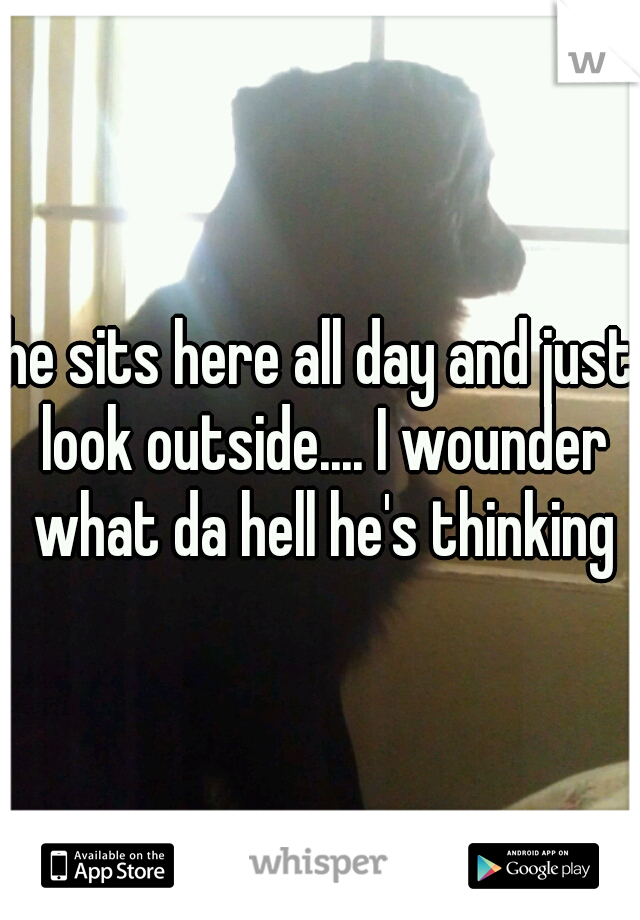 he sits here all day and just look outside.... I wounder what da hell he's thinking