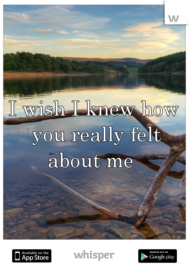 I wish I knew how you really felt about me  