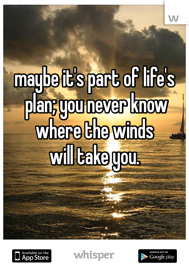 maybe it's part of life's
 plan; you never know 
where the winds 
will take you.
