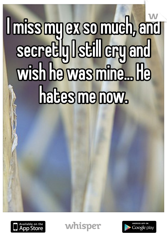 I miss my ex so much, and secretly I still cry and wish he was mine... He hates me now. 