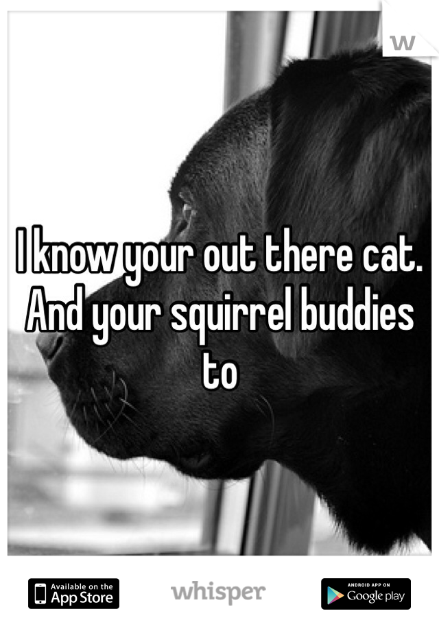 I know your out there cat. And your squirrel buddies to 