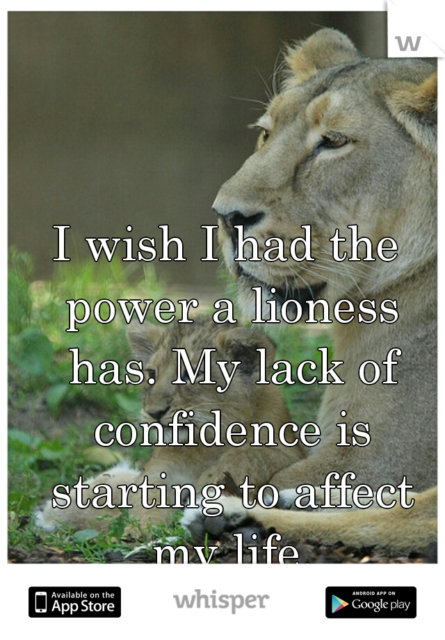 I wish I had the power a lioness has. My lack of confidence is starting to affect my life.