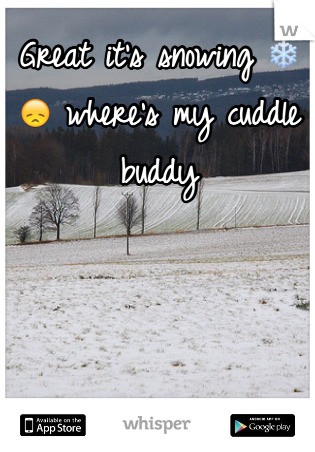 Great it's snowing ❄️😞 where's my cuddle buddy 