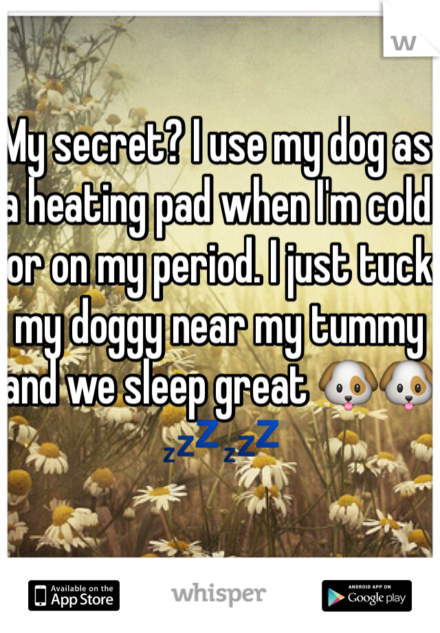 My secret? I use my dog as a heating pad when I'm cold or on my period. I just tuck my doggy near my tummy and we sleep great 🐶🐶💤💤