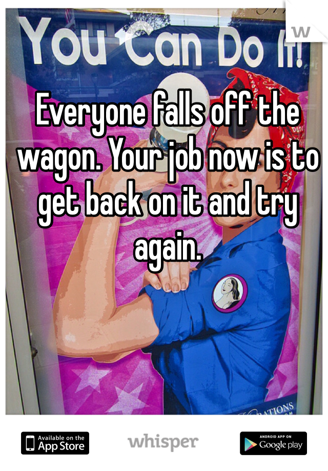 Everyone falls off the wagon. Your job now is to get back on it and try again. 