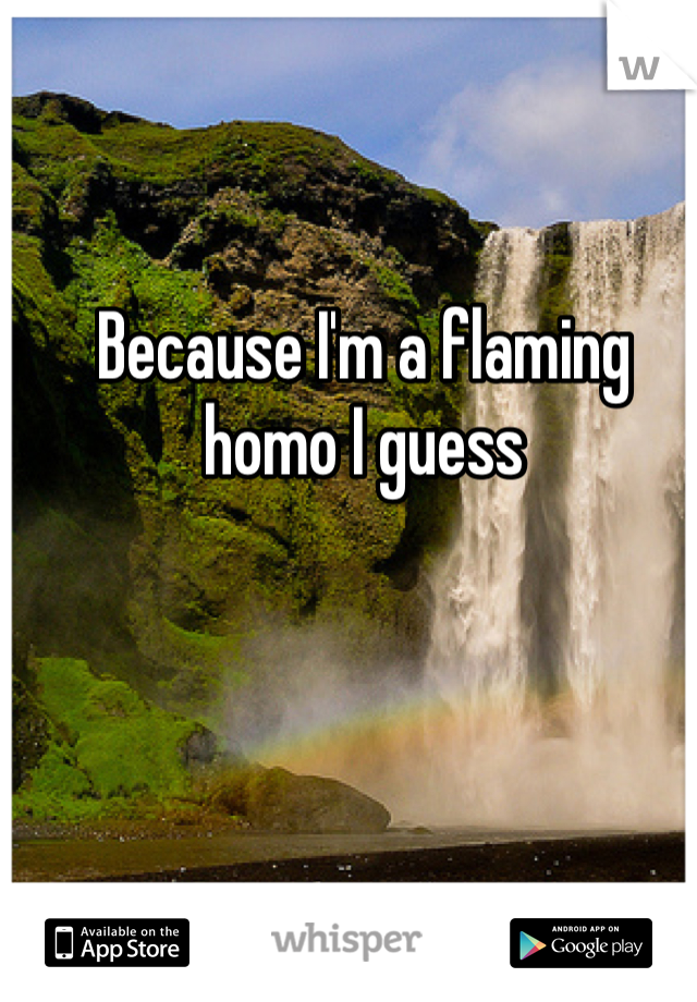 Because I'm a flaming homo I guess