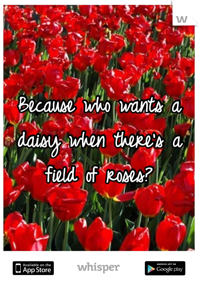 Because who wants a daisy when there's a field of roses?