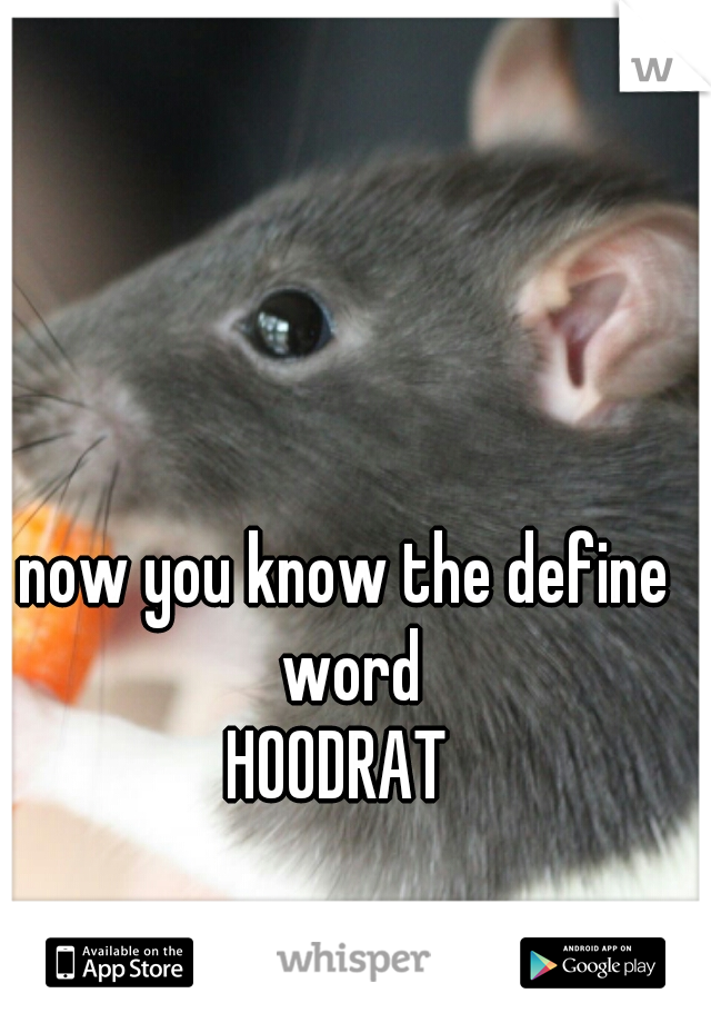now you know the define word

HOODRAT 