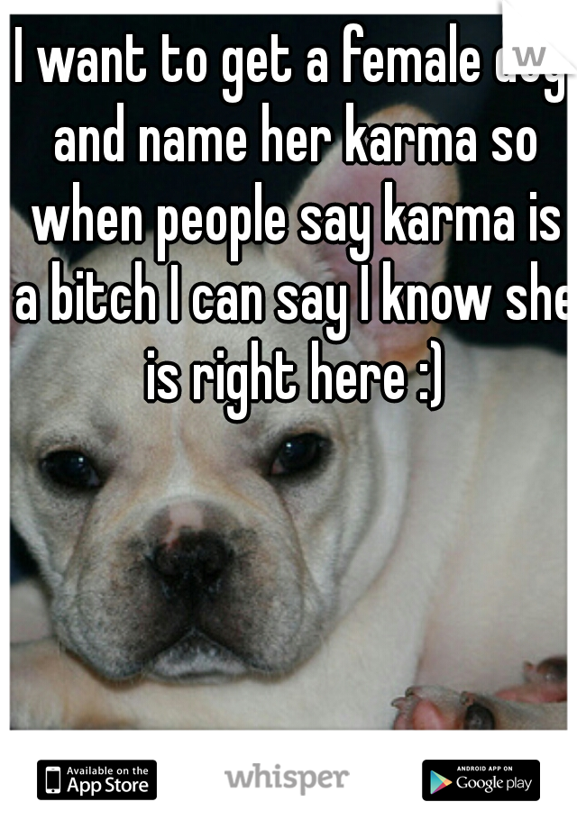 I want to get a female dog and name her karma so when people say karma is a bitch I can say I know she is right here :)