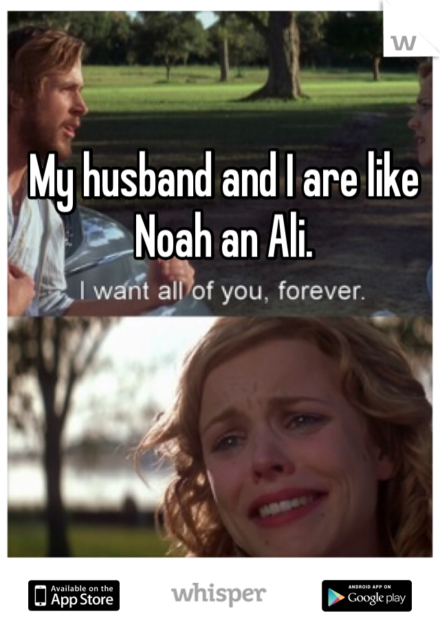 My husband and I are like Noah an Ali. 