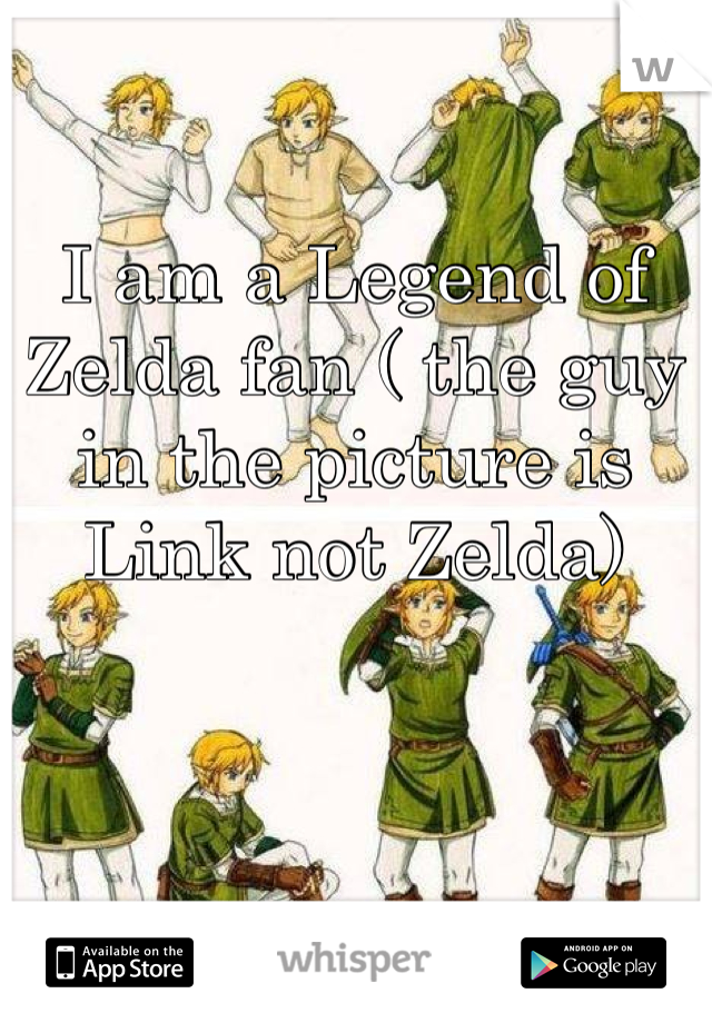 I am a Legend of Zelda fan ( the guy in the picture is Link not Zelda)