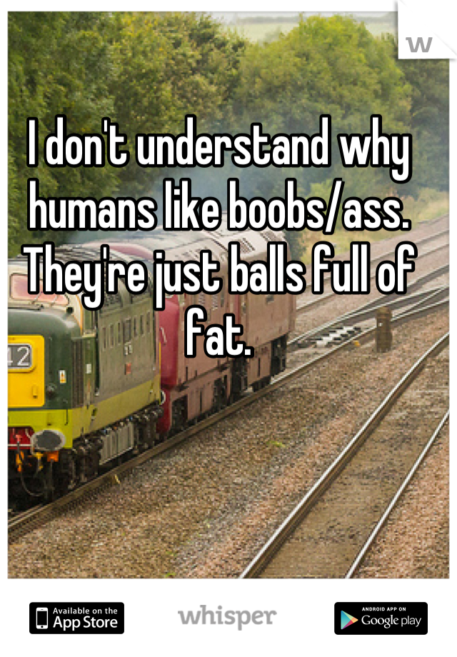 I don't understand why humans like boobs/ass. They're just balls full of fat.