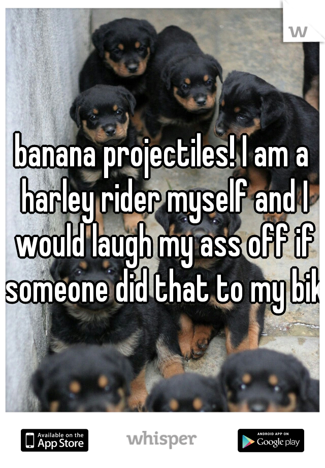 banana projectiles! I am a harley rider myself and I would laugh my ass off if someone did that to my bike