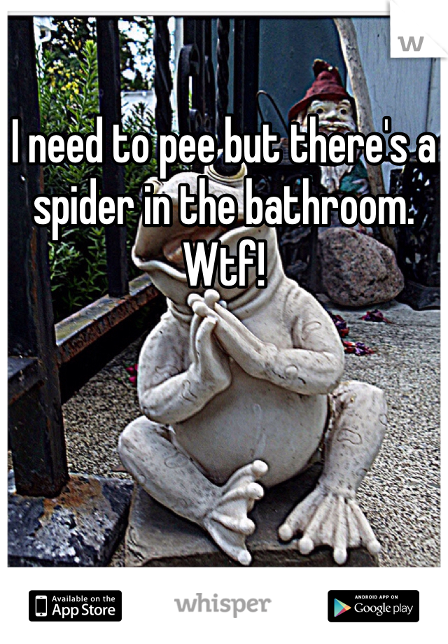 I need to pee but there's a spider in the bathroom. Wtf! 