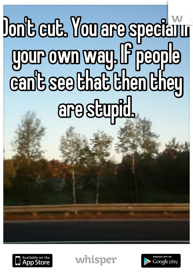 Don't cut. You are special in your own way. If people can't see that then they are stupid.