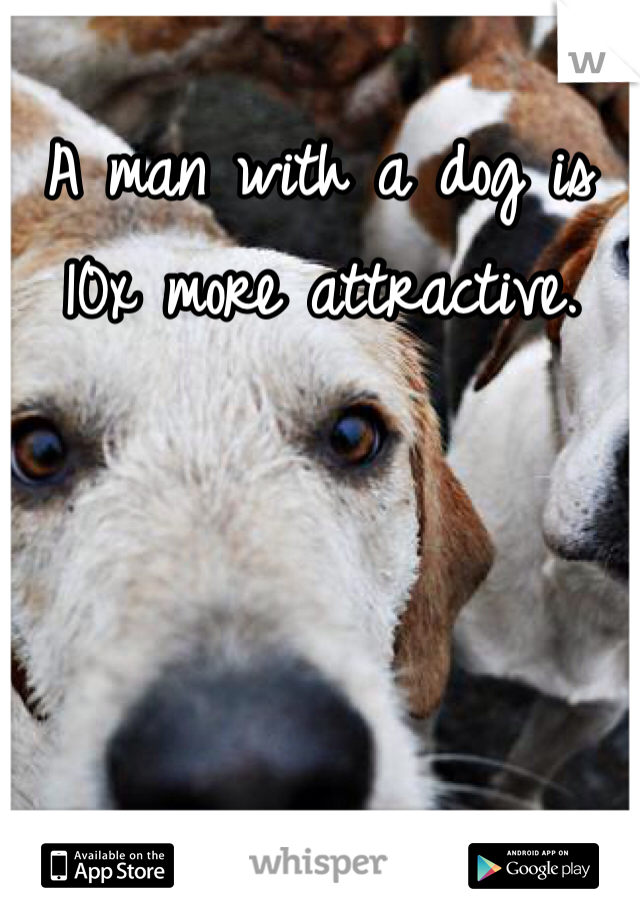 A man with a dog is 10x more attractive. 
