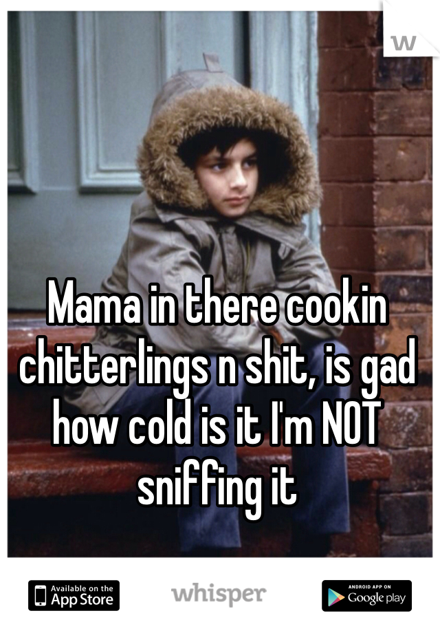 Mama in there cookin chitterlings n shit, is gad how cold is it I'm NOT sniffing it 