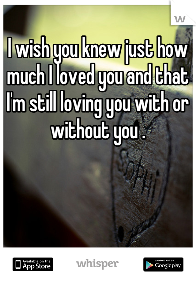 I wish you knew just how much I loved you and that I'm still loving you with or without you .