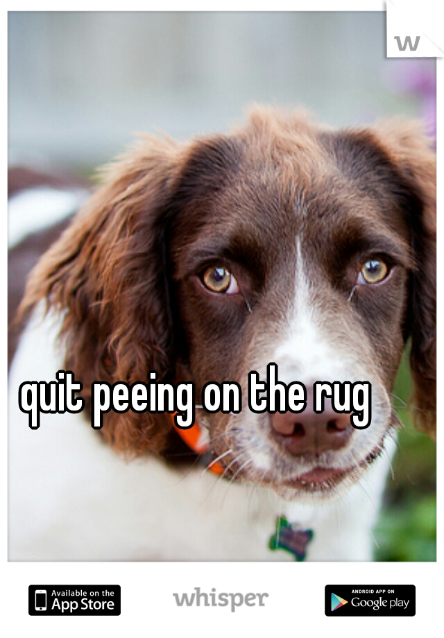 quit peeing on the rug