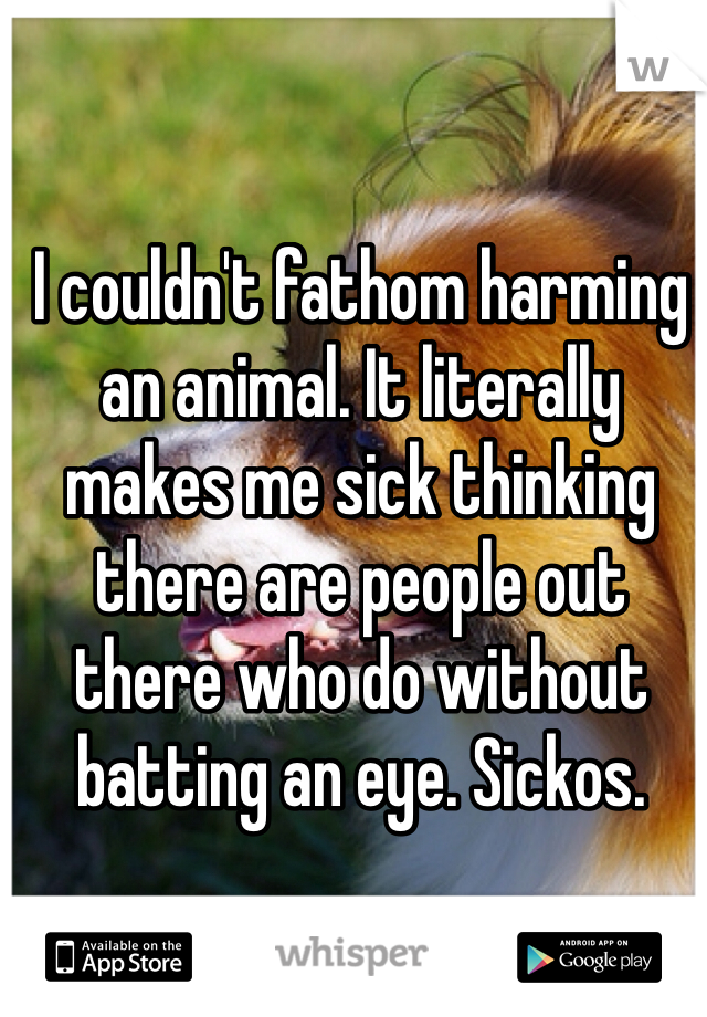 I couldn't fathom harming an animal. It literally makes me sick thinking there are people out there who do without batting an eye. Sickos. 