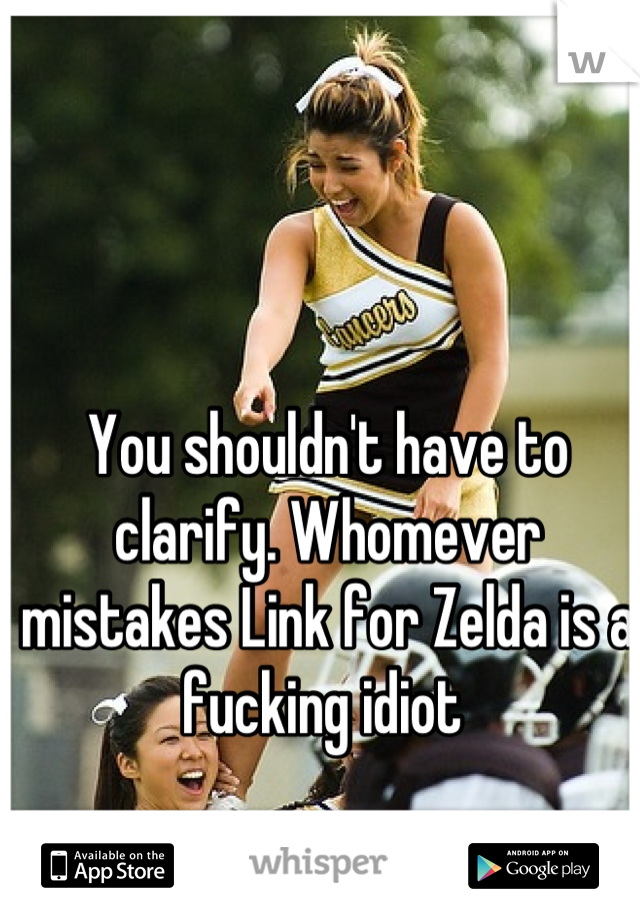 You shouldn't have to clarify. Whomever mistakes Link for Zelda is a fucking idiot 