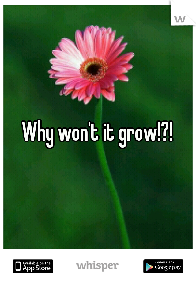 Why won't it grow!?!