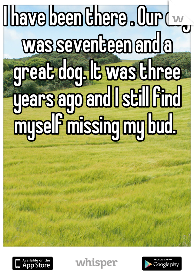 I have been there . Our dog was seventeen and a great dog. It was three years ago and I still find myself missing my bud. 
