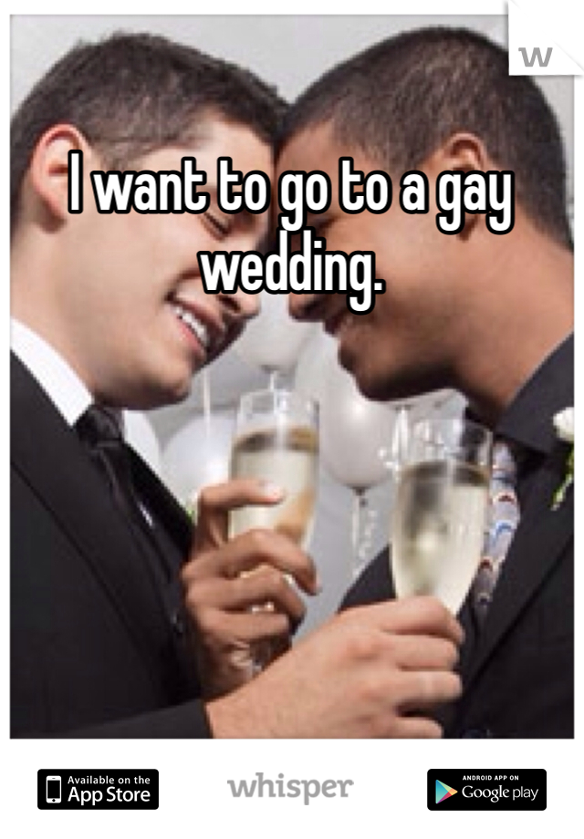 I want to go to a gay wedding. 