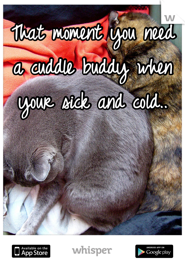 That moment you need a cuddle buddy when your sick and cold..