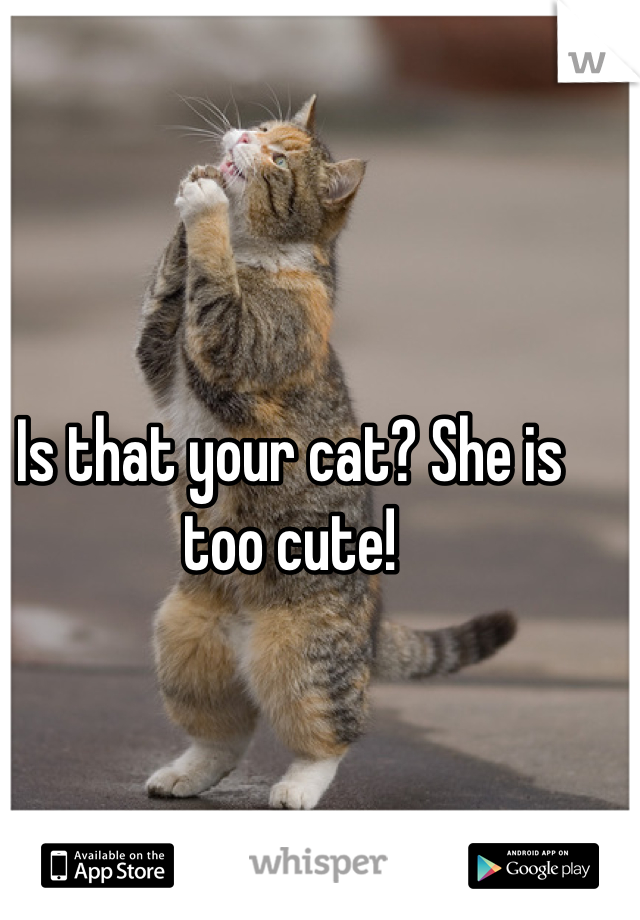 Is that your cat? She is too cute!