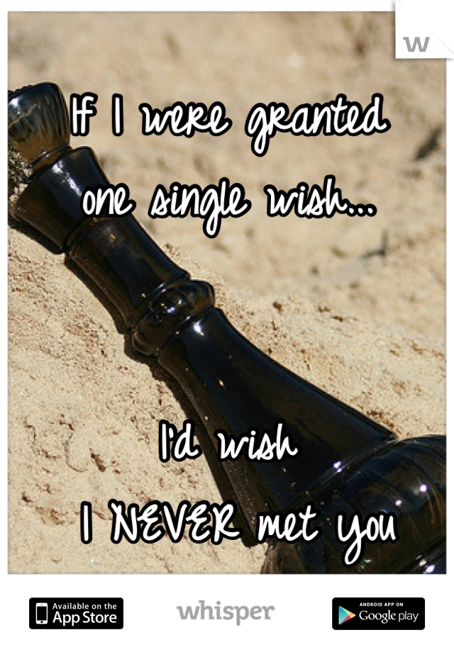 If I were granted 
one single wish...


I'd wish
 I NEVER met you
