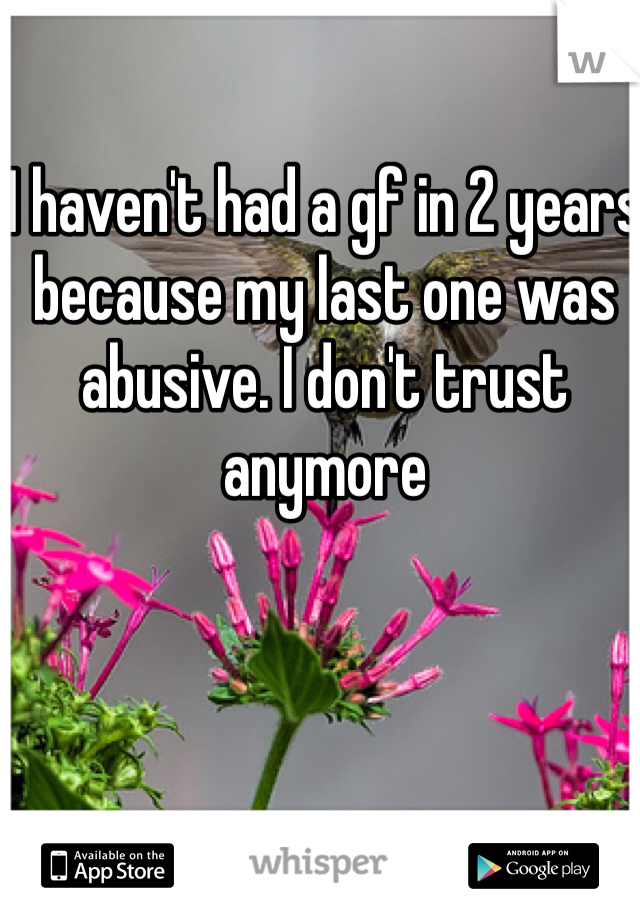 I haven't had a gf in 2 years because my last one was abusive. I don't trust anymore