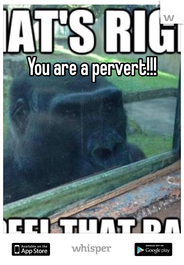 You are a pervert!!!