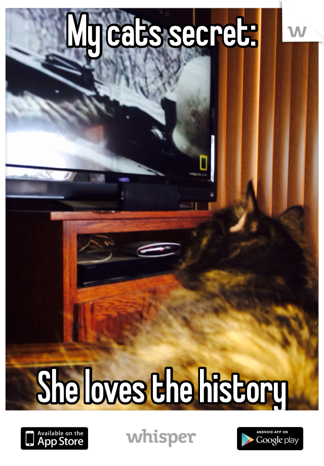 My cats secret:







She loves the history channel 